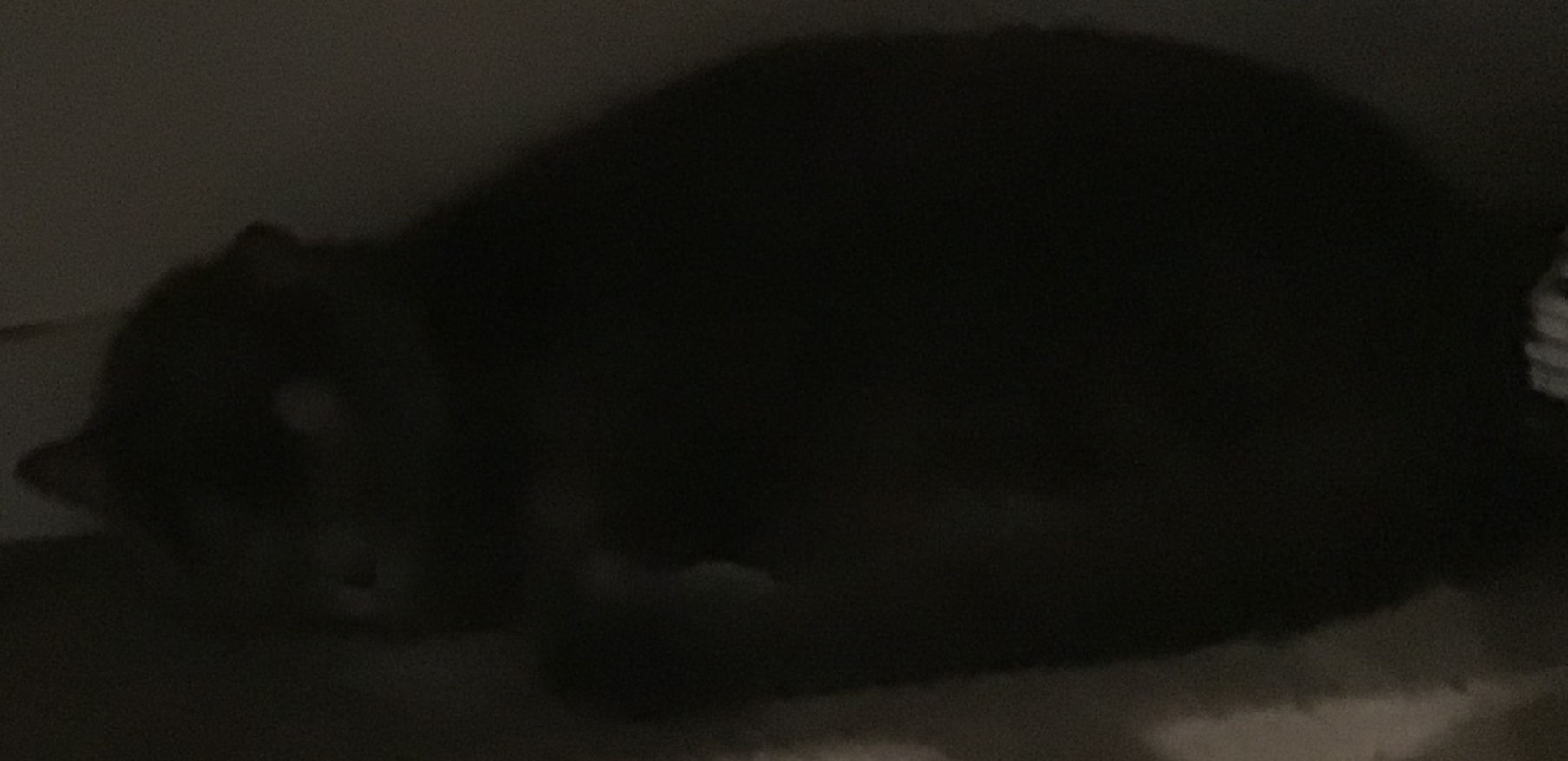 pan, when she was old