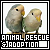 ANIMAL RESCUE & ADOPTION GROUPS